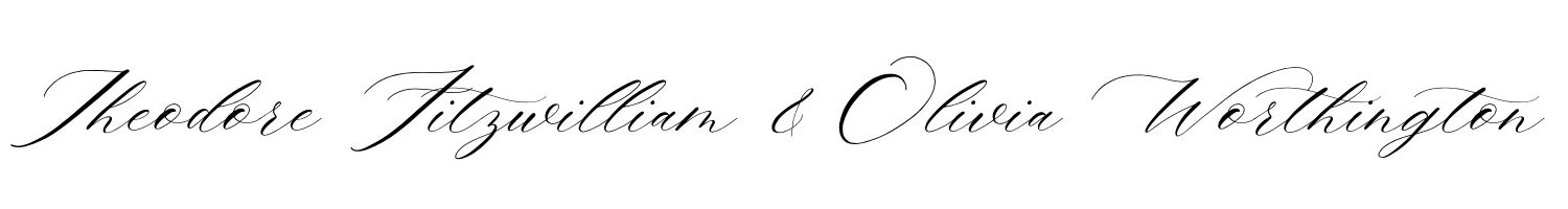 Slight formal script font on Canva